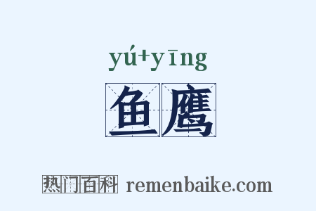 鱼鹰是什么意思的图片